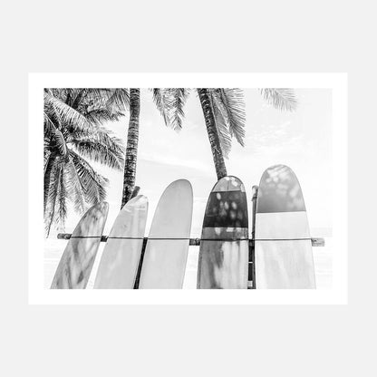 Palm Boards B&W