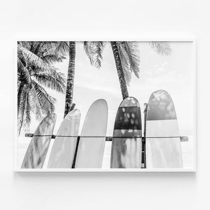 Palm Boards B&W