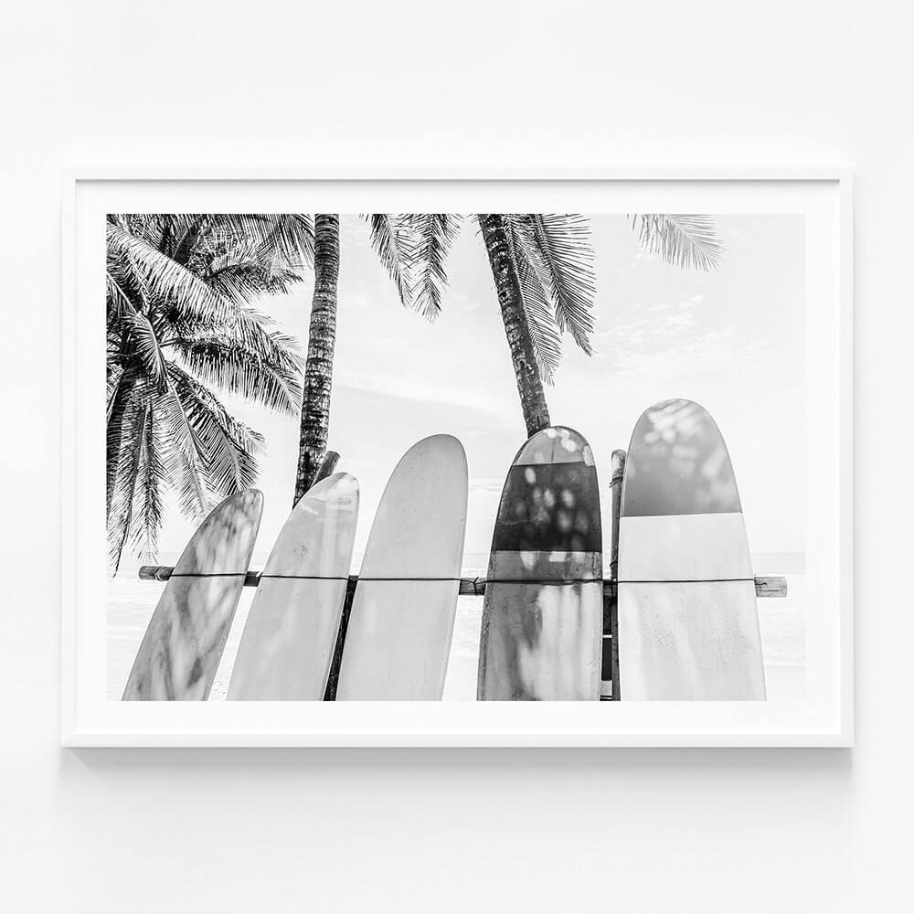 Palm Boards B&W