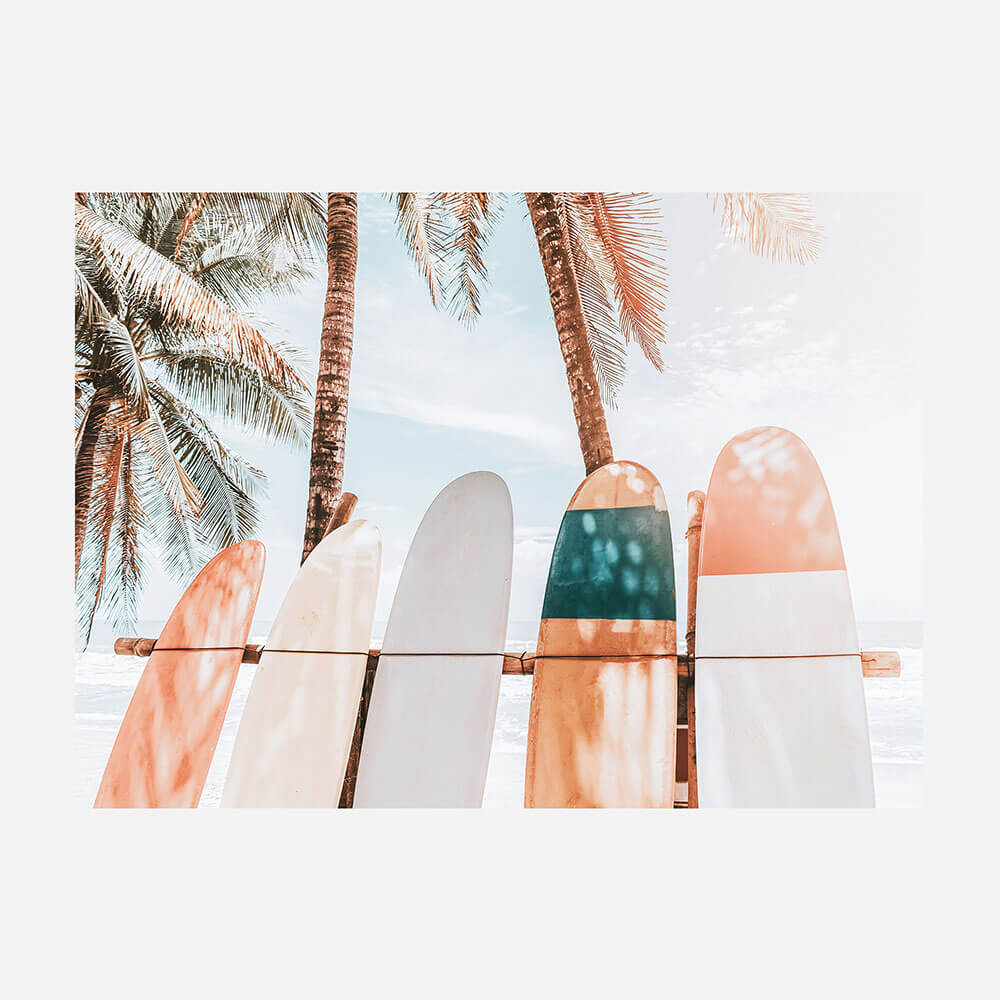 Palm Boards