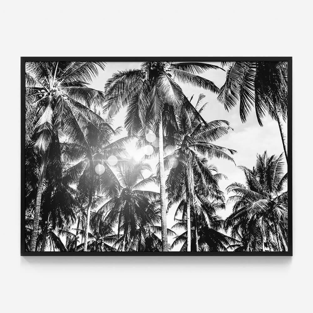 Palm Bokeh