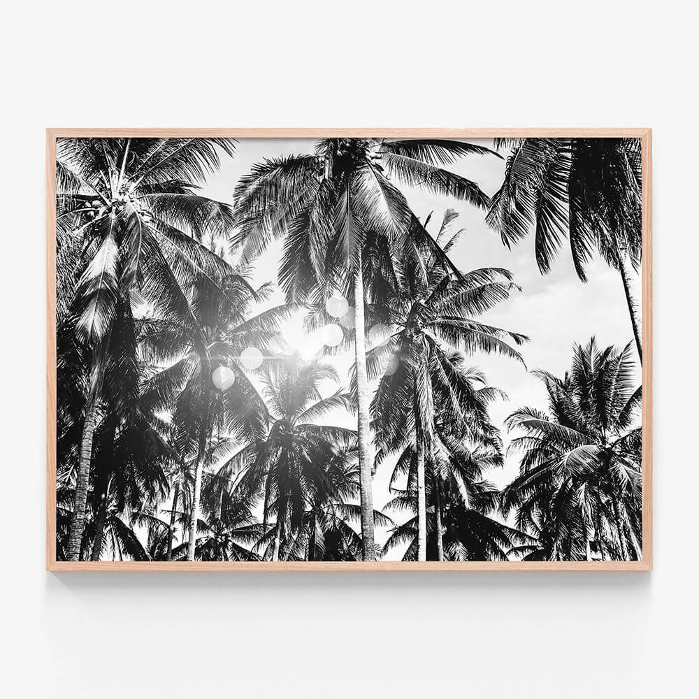 Palm Bokeh