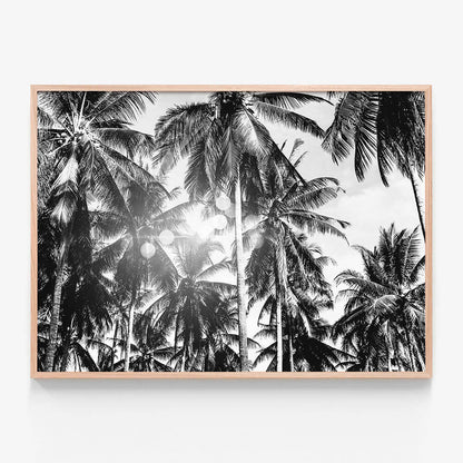 Palm Bokeh