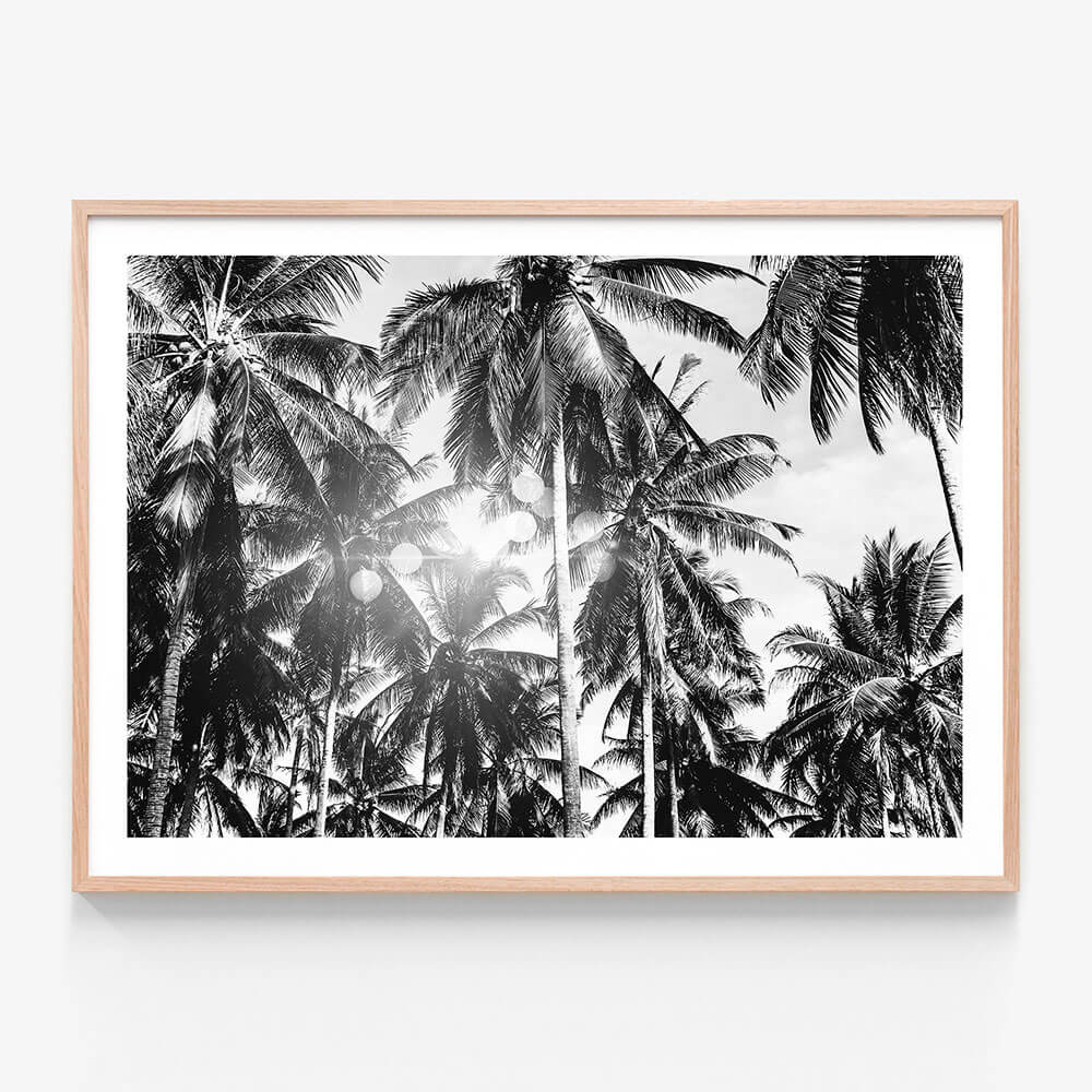 Palm Bokeh