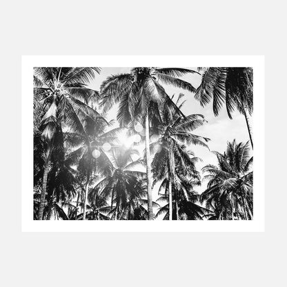 Palm Bokeh