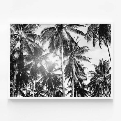 Palm Bokeh