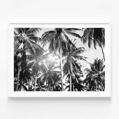 Palm Bokeh