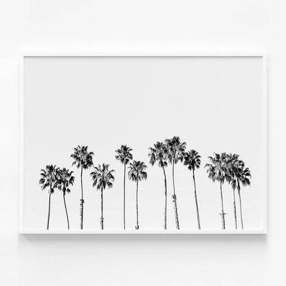 Palm Line B&W