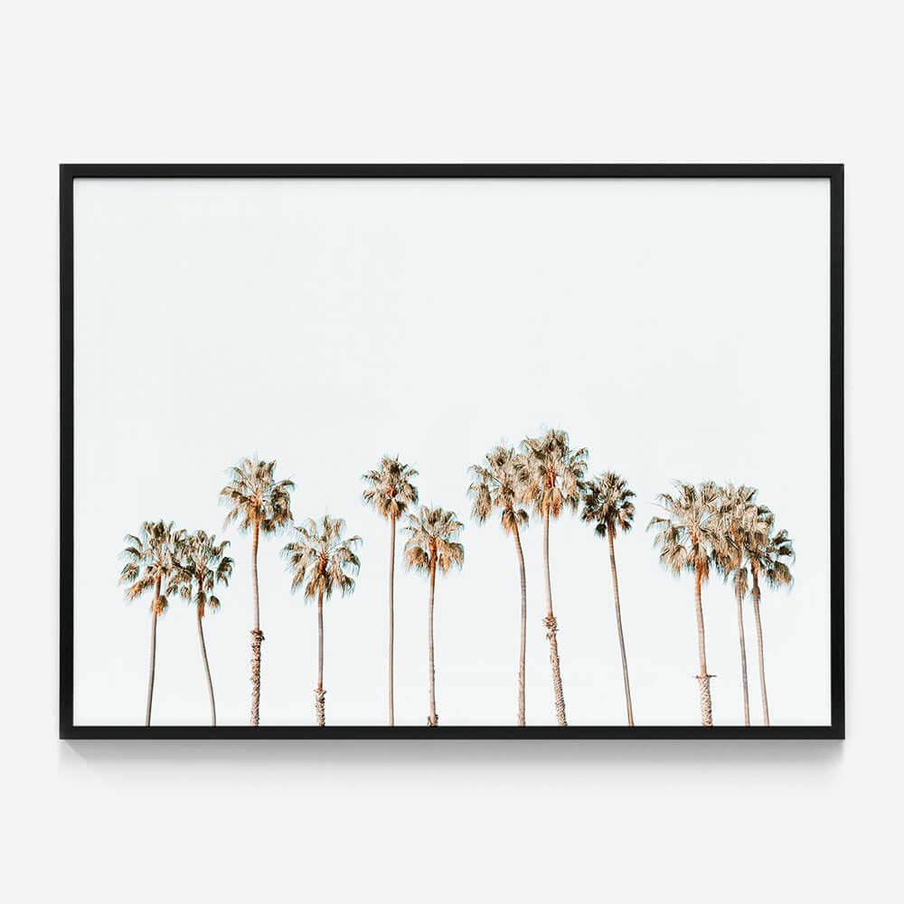 Palm Line