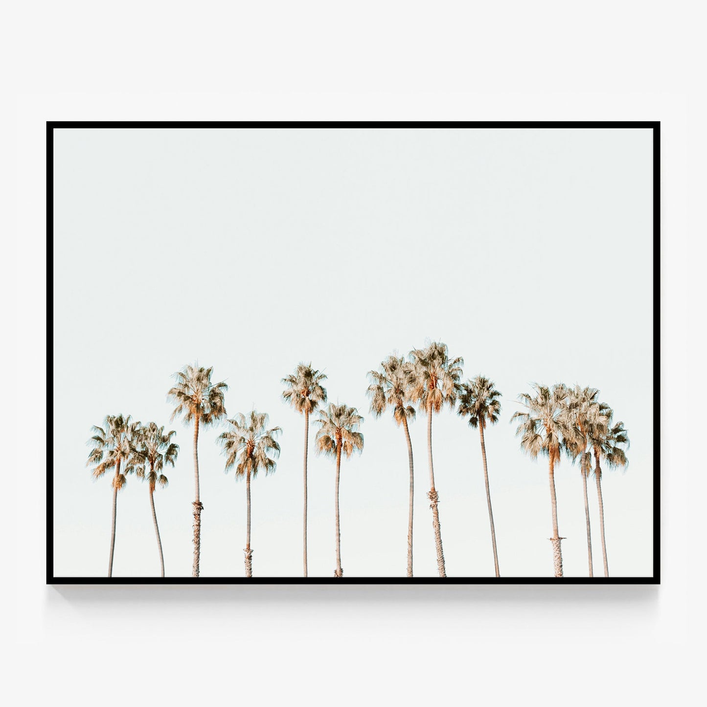 Palm Line Canvas