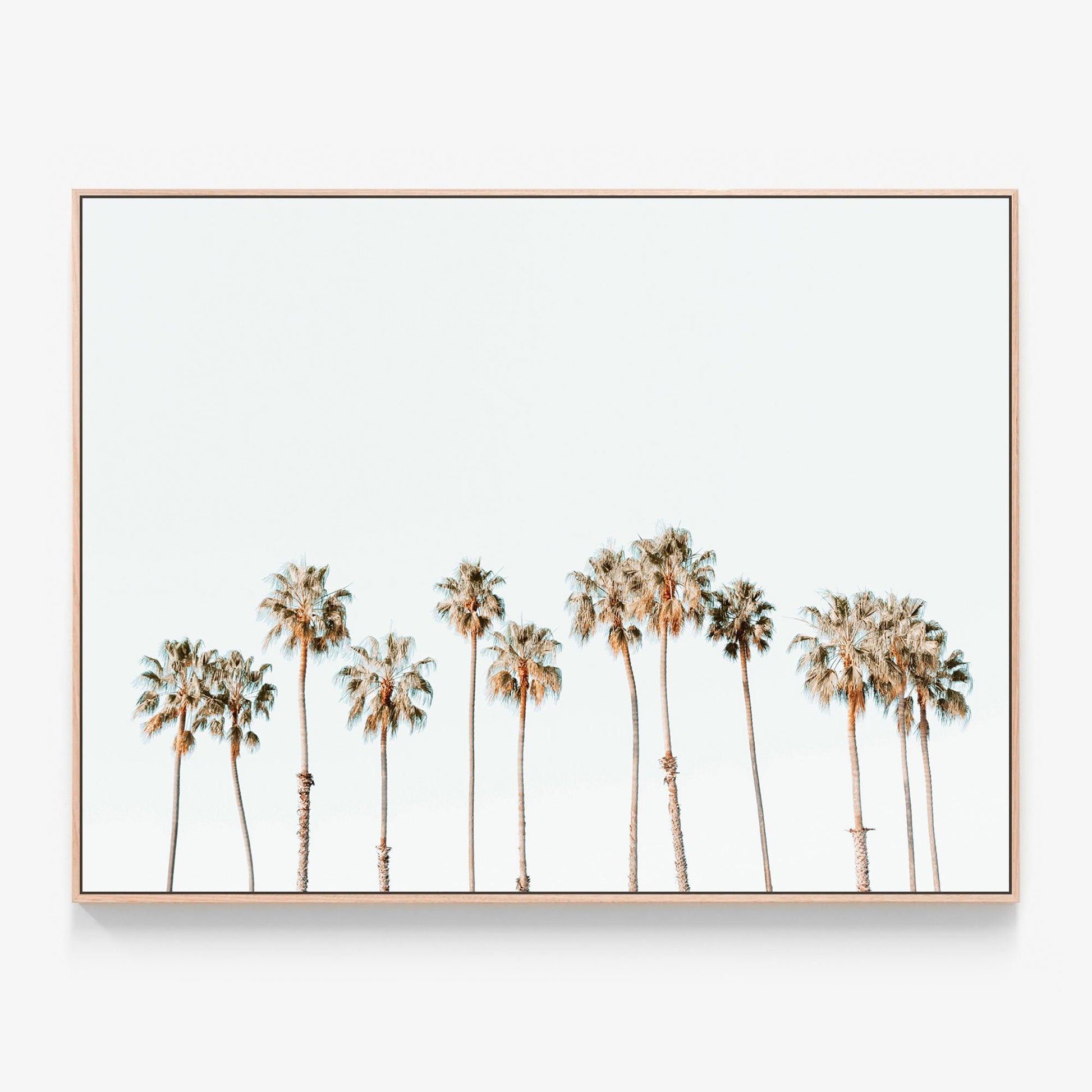 Palm Line Canvas wall art with oak float frame