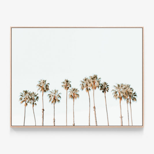 Palm Line Canvas wall art with oak float frame