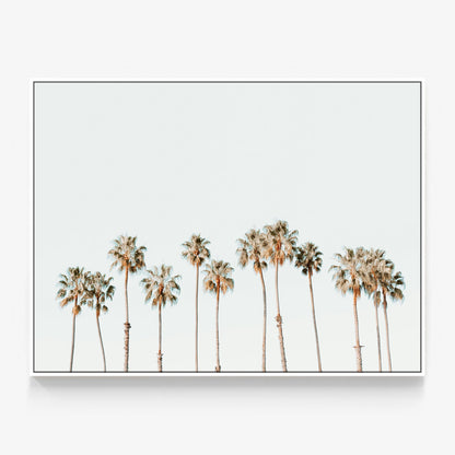 Palm Line Canvas