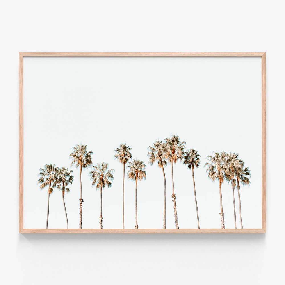 Palm Line