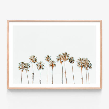 Palm Line