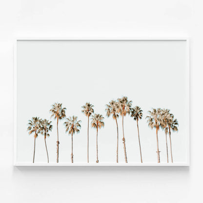 Palm Line