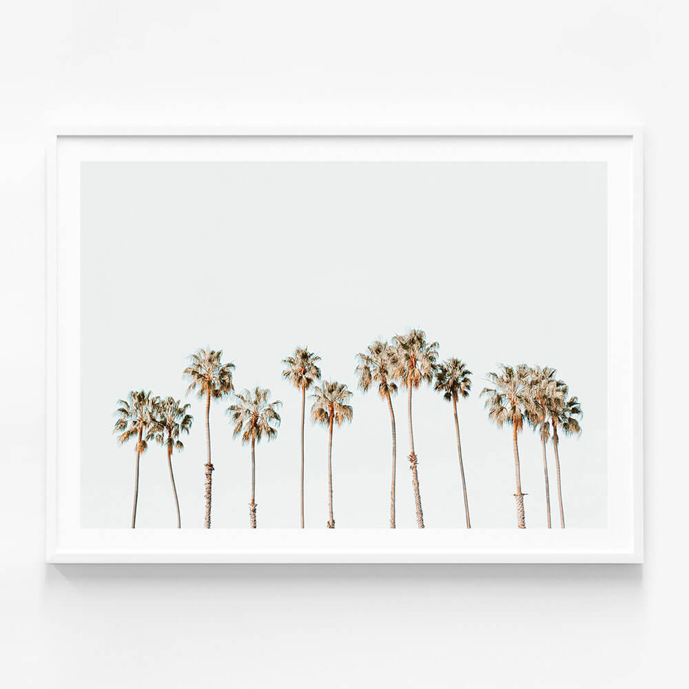Palm Line