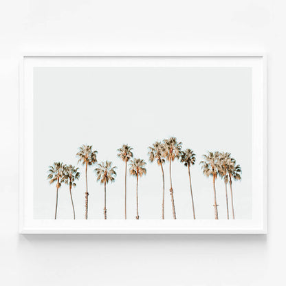 Palm Line