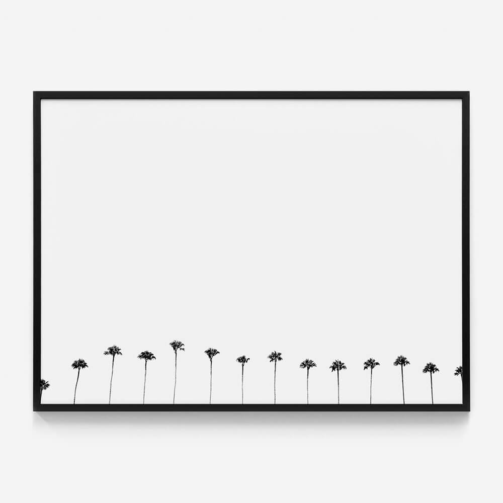 Palm Row