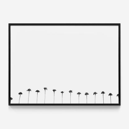 Palm Row