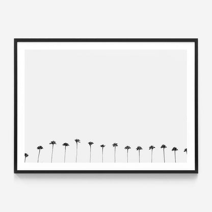 Palm Row