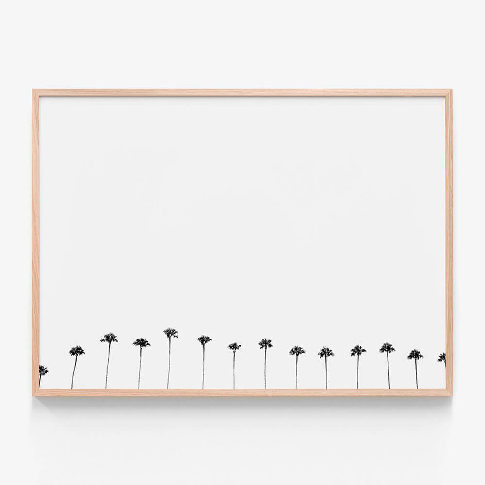 Palm Row
