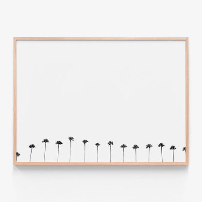 Palm Row