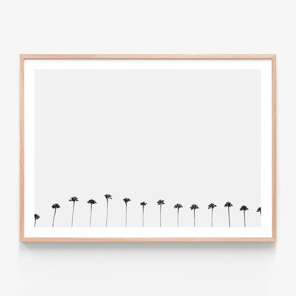 Palm Row