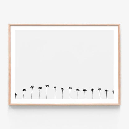 Palm Row