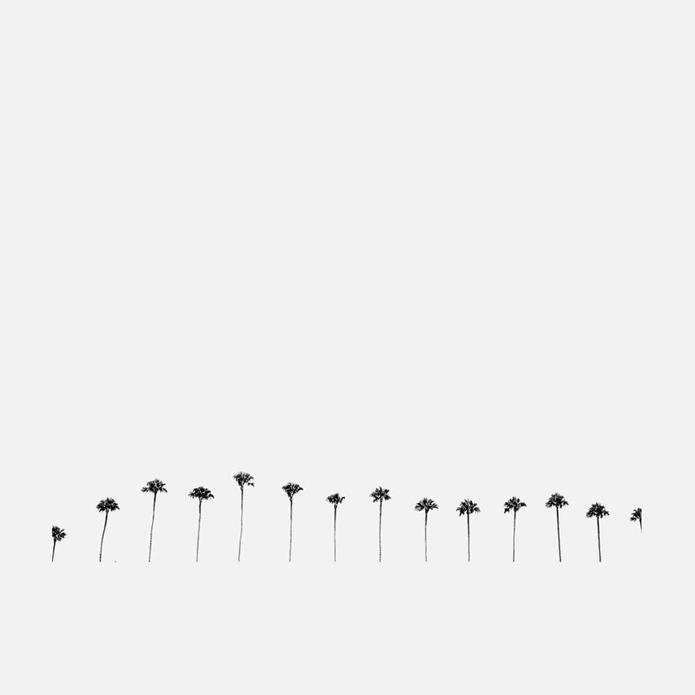 Palm Row