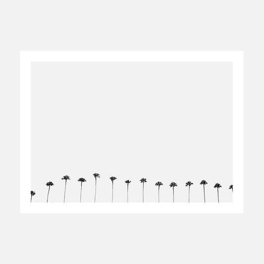 Palm Row