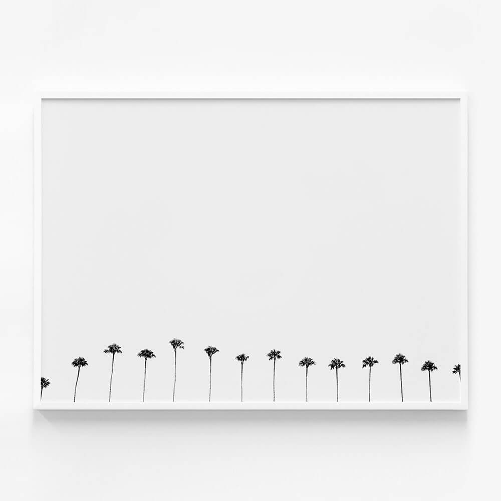 Palm Row