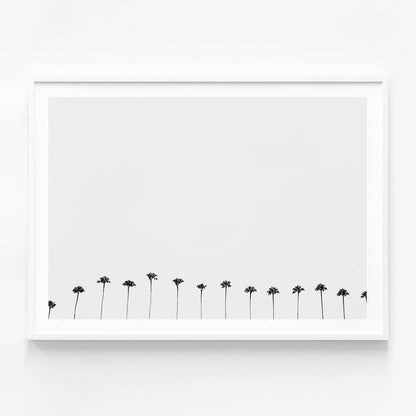 Palm Row