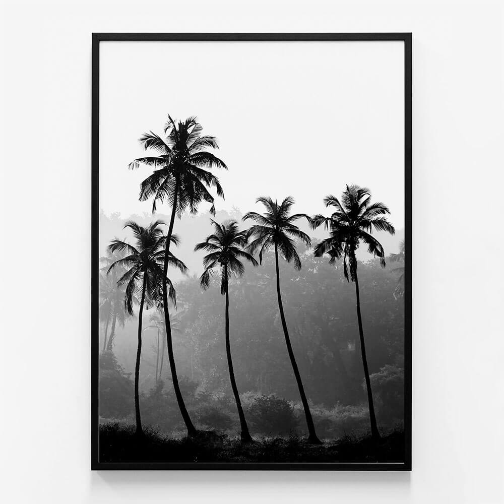 Palm Silhouette