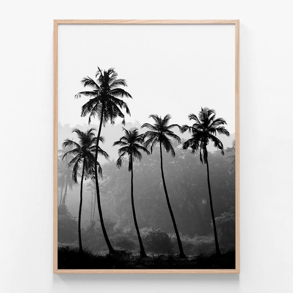 Palm Silhouette