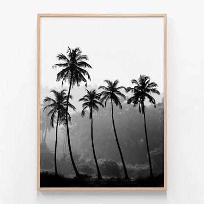 Palm Silhouette