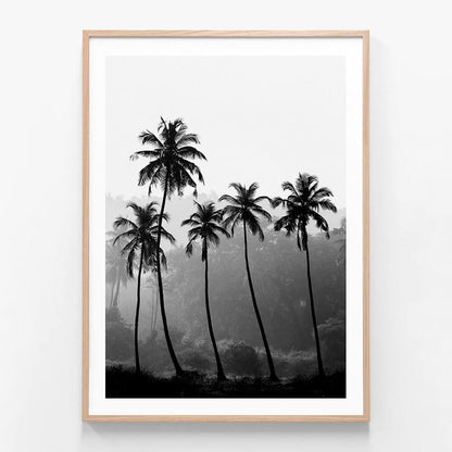 Palm Silhouette