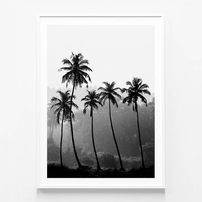 Palm Silhouette