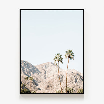 Palm Springs Mountains Canvas