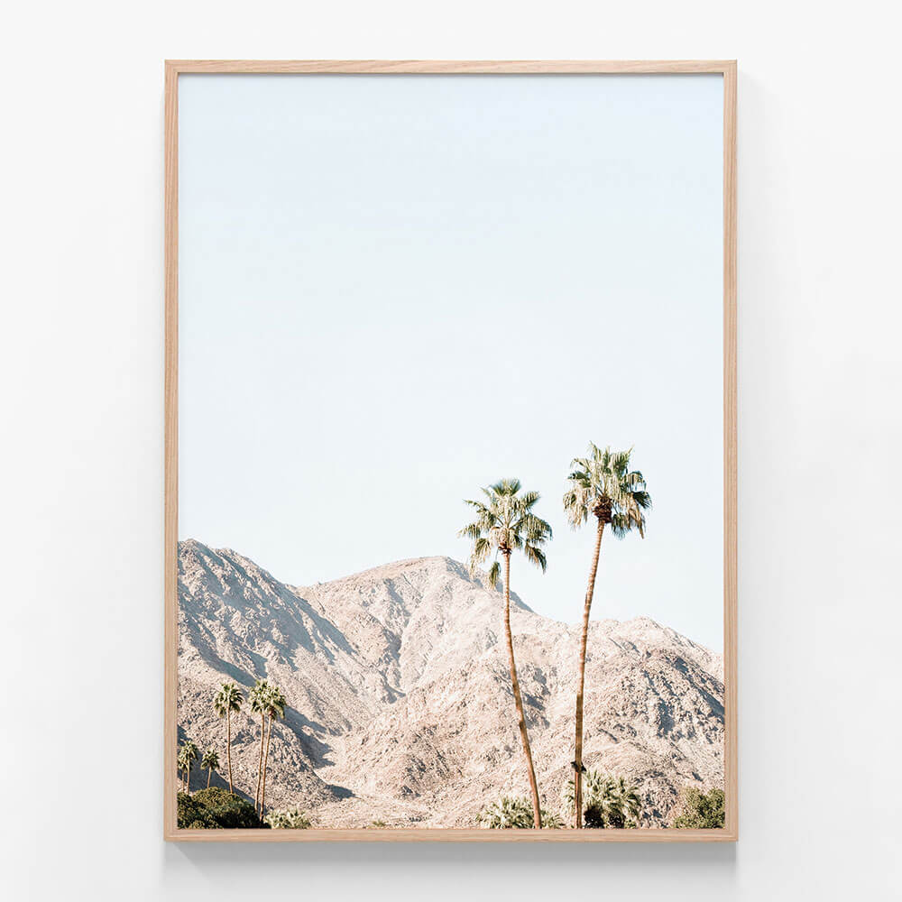 Palm Springs Mountains