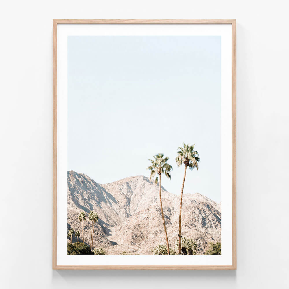 Palm Springs Mountains