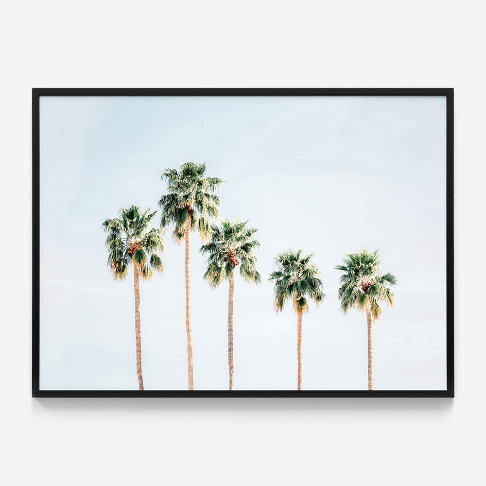 Palm Springs Sky