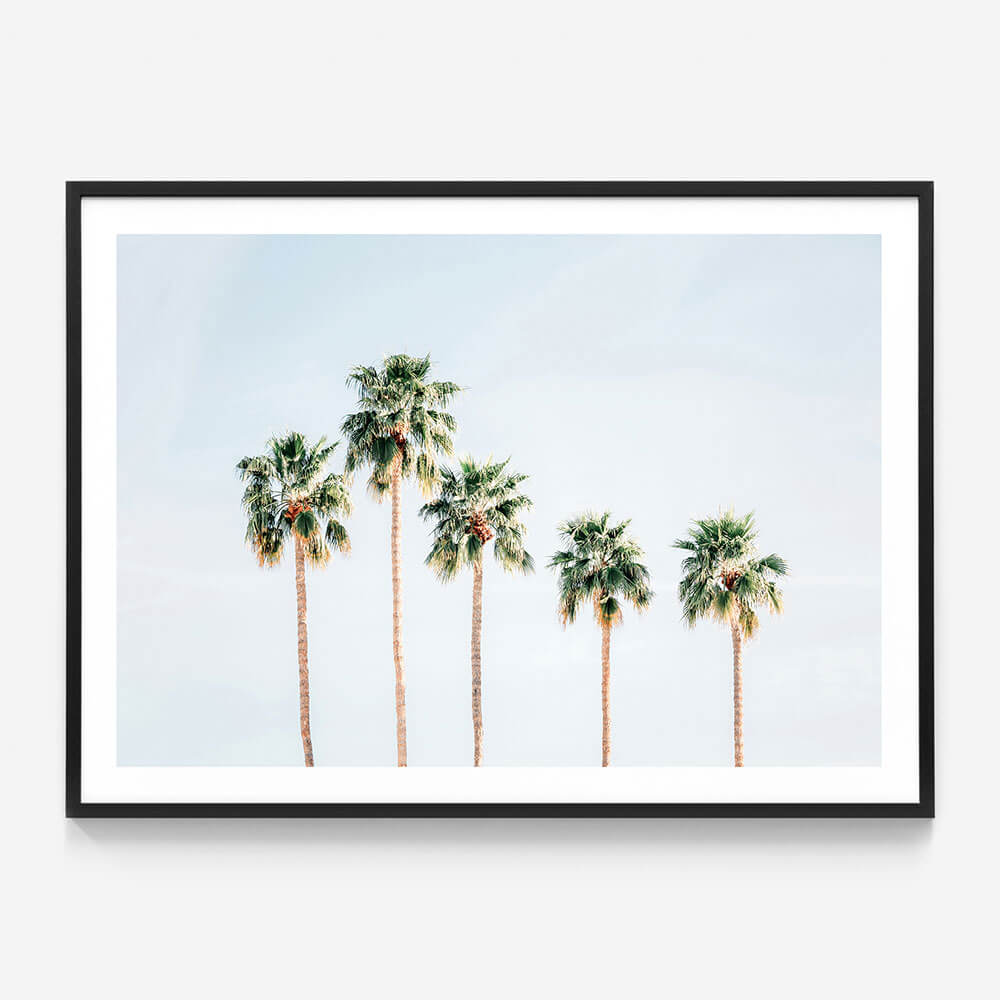 Palm Springs Sky
