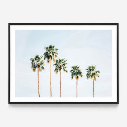 Palm Springs Sky
