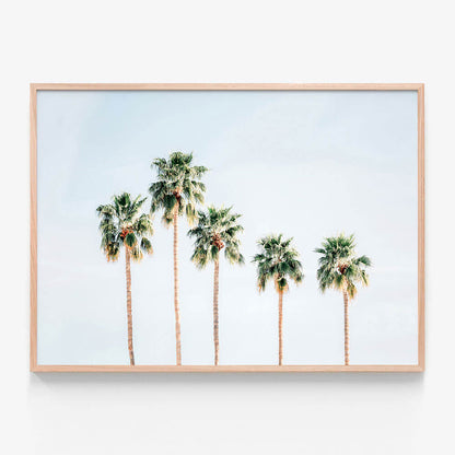 Palm Springs Sky