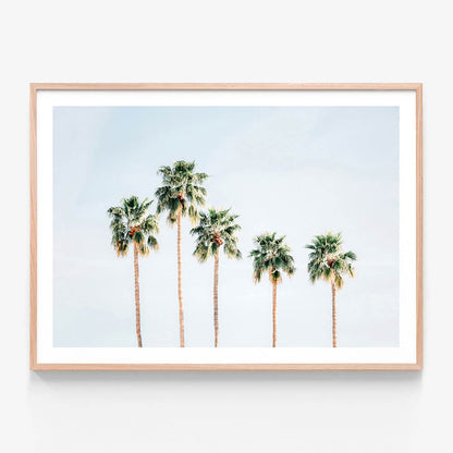 Palm Springs Sky