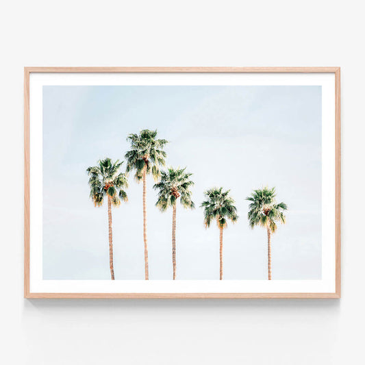 Palm Springs Sky