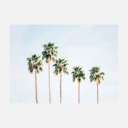 Palm Springs Sky