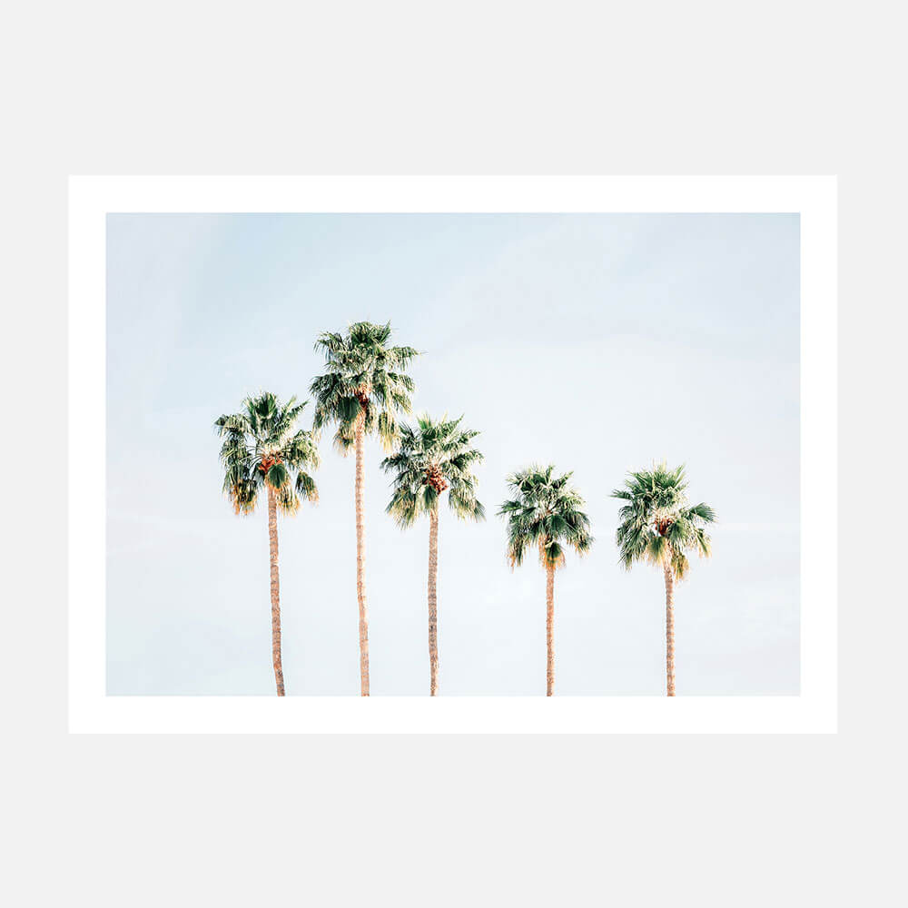 Palm Springs Sky