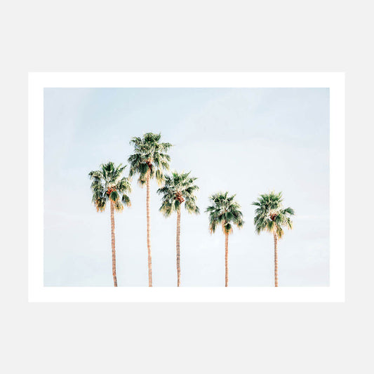 Palm Springs Sky